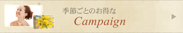 季節ごとのお得な Campaign